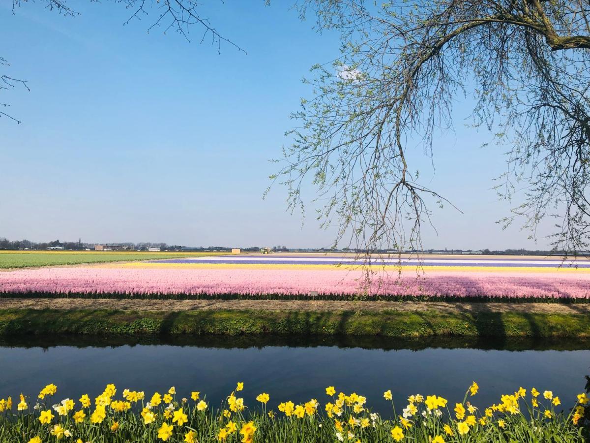 Lowietje - Keukenhof 4*